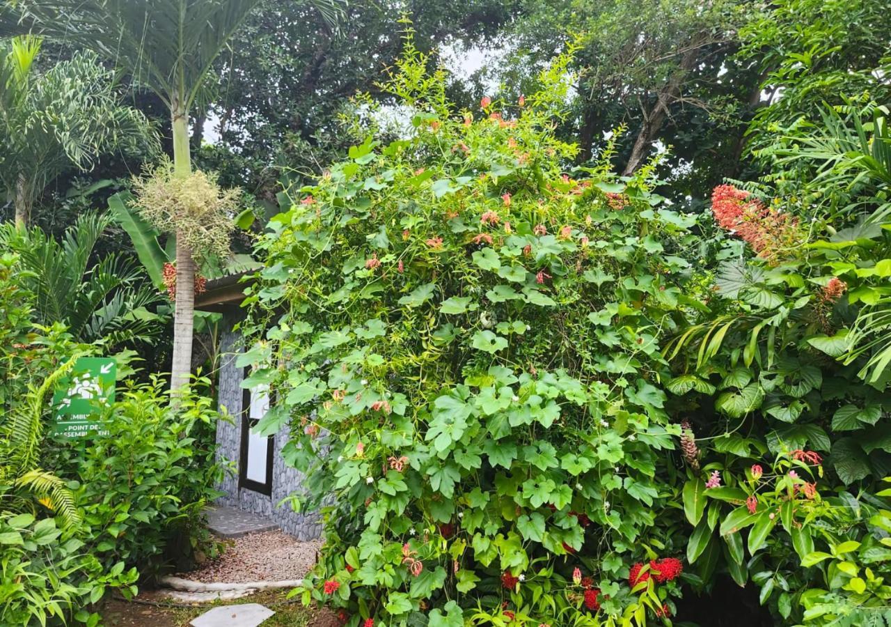 Buisson Guesthouse La Digue Dış mekan fotoğraf