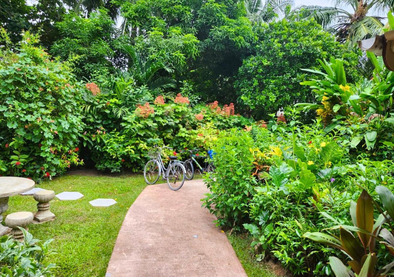 Buisson Guesthouse La Digue Dış mekan fotoğraf